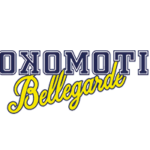 Lokomotiv-logo2